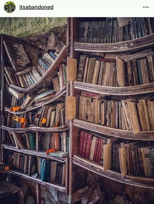 old abandoned bookshelf warped falling apart