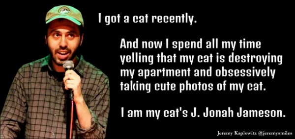 photo caption - I got a cat recently. And now I spend all my time yelling that my cat is destroying my apartment and obsessively taking cute photos of my cat. I am my cat's J. Jonah Jameson. Jeremy Kaplowitz