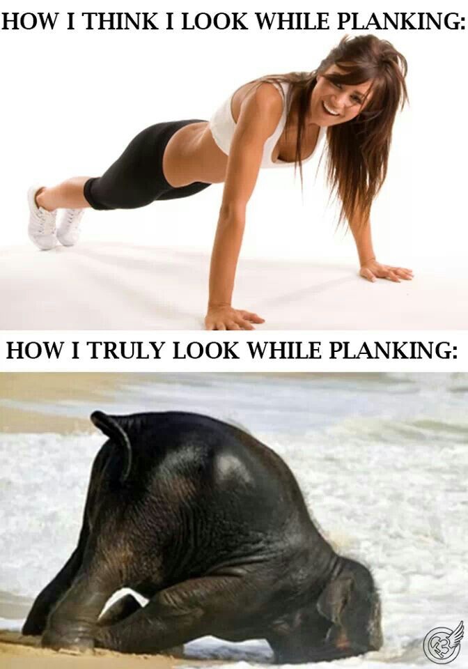 think i look like planking - How I Think I Look While Planking How I Truly Look While Planking 3