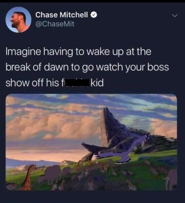 lion king circle of life - Chase Mitchell Mit Imagine having to wake up at the break of dawn to go watch your boss show off his f kid