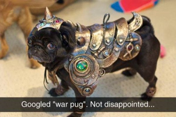 war pug - Googled "war pug". Not disappointed...