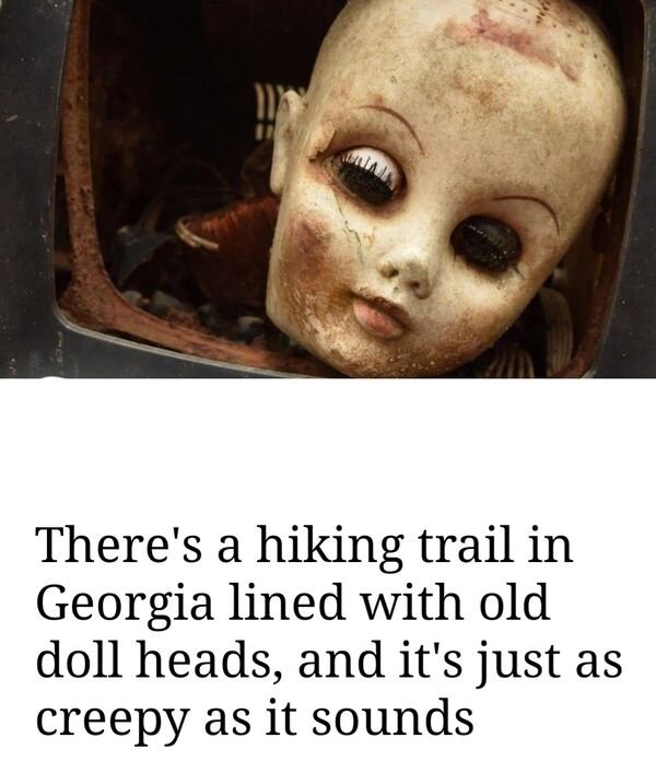 photo caption - There's a hiking trail in Georgia lined with old doll heads, and it's just as creepy as it sounds