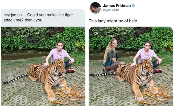 tiger - James Fridman hey james ... Could you make tiger attack me? thank you. This lady might be of help.