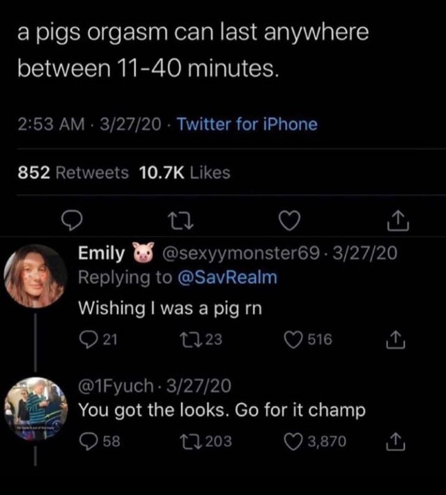 screenshot - a pigs orgasm can last anywhere between 1140 minutes. 32720 Twitter for iPhone 852 Emily .32720 Wishing I was a pig rn 921 1223 516 . 32720 You got the looks. Go for it champ 12 203 3,870 58