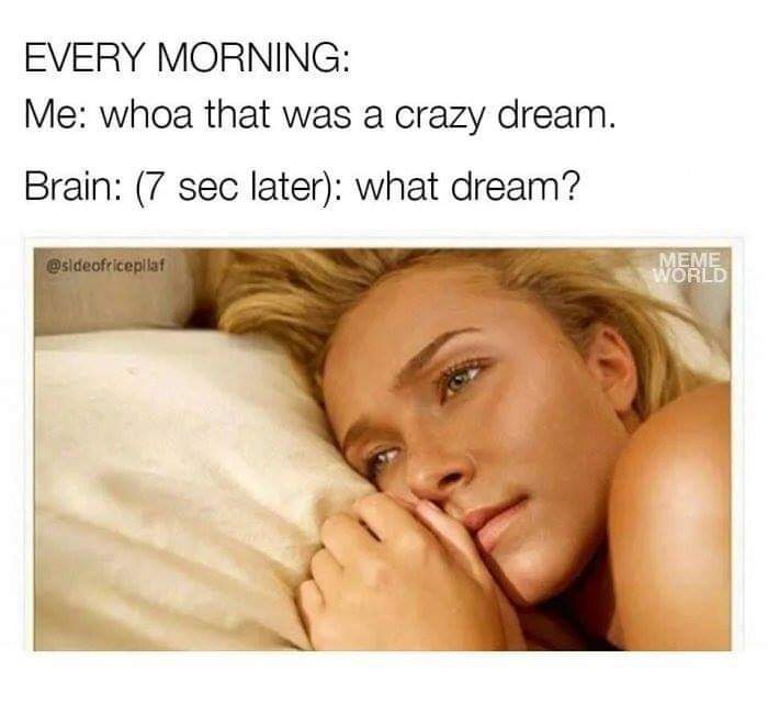 crazy dream meme - Every Morning Me whoa that was a crazy dream. Brain 7 sec later what dream? Meme World