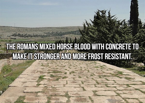 The Romans Mixed Horse Blood With Concrete To Make It Stronger And More Frost Resistant.