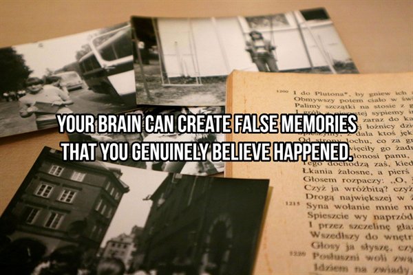 17 WTF Facts to Feed Your Brain.