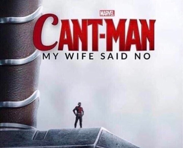 can t man meme - Marvel CantMan My Wife Said No