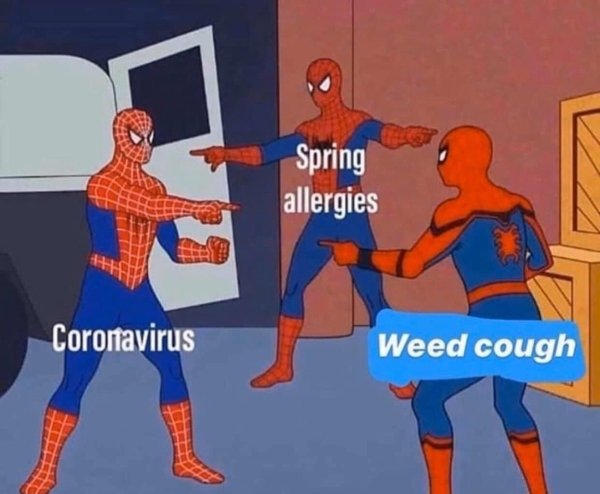 Spring allergies Coronavirus Weed cough
