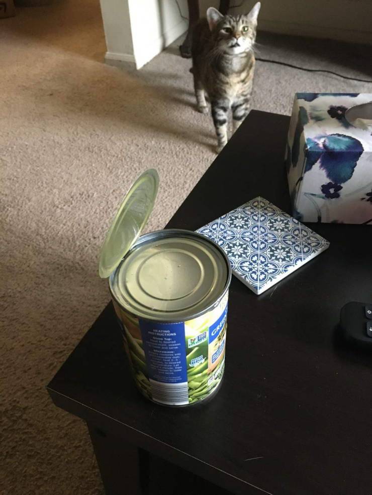can of cat food with two lids inside