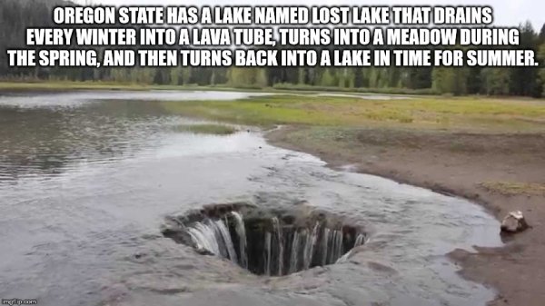 Oregon State Has A Lake Named Lost Lake That Drains Every Winter Into A Lava Tube, Turns Into A Meadow During The Spring, And Then Turns Back Into A Lake In Time For Summer.