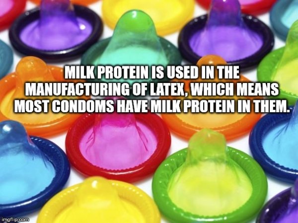Milk Protein Is Used In The Manufacturing Of Latex, Which Means Most Condoms Have Milk Protein In Them.
