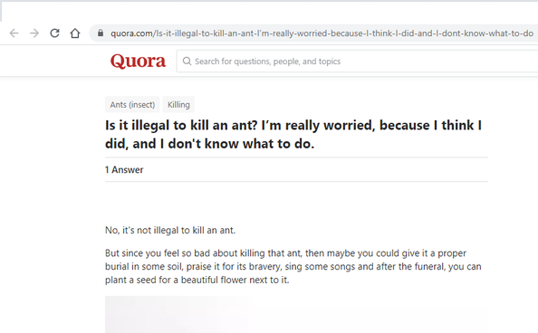 quora - quora.comIsitillegaltokillanantI'mreallyworried becauselthinkIdidandIdontknowwhattodo Quora Search for questions, people, and topics Ants insect Killing Is it illegal to kill an ant? I'm really worried, because I think I did, and I don't know what