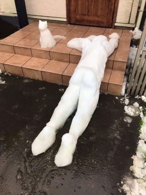 frozen snow body on the ground