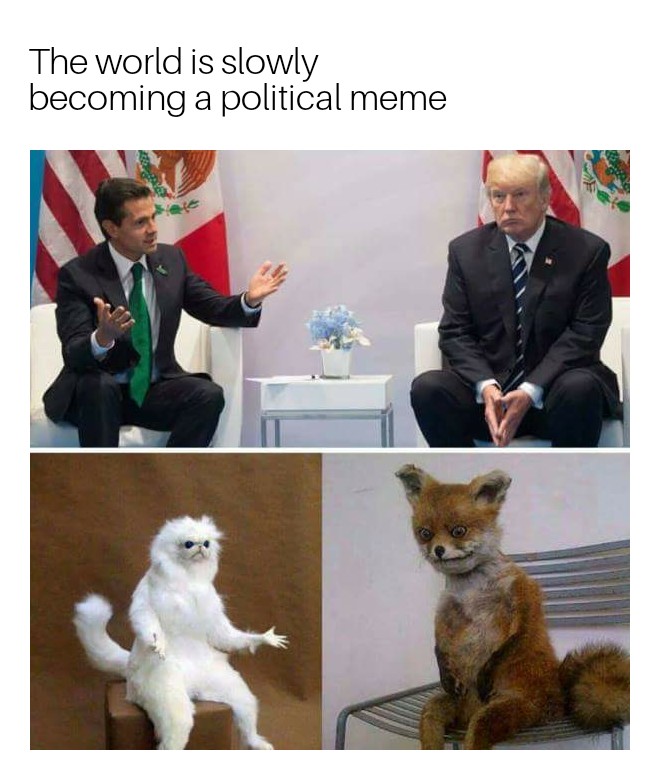 The world is slowly becoming a political meme