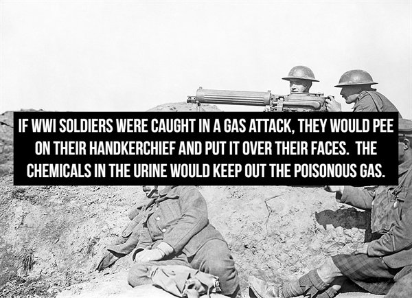 world war 1 - If Wwi Soldiers Were Caught In A Gas Attack, They Would Pee On Their Handkerchief And Put It Over Their Faces. The Chemicals In The Urine Would Keep Out The Poisonous Gas.