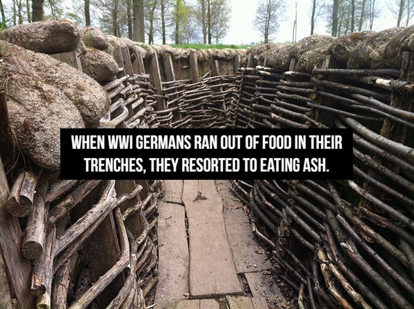 wood - When Wwi Germans Ran Out Of Food In Their Trenches, They Resorted To Eating Ash.