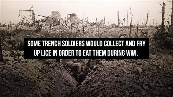 trench warfare - Some Trench Soldiers Would Collect And Fry Up Lice In Order To Eat Them During Wwi.