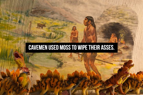 cavemen - Cavemen Used Moss To Wipe Their Asses.