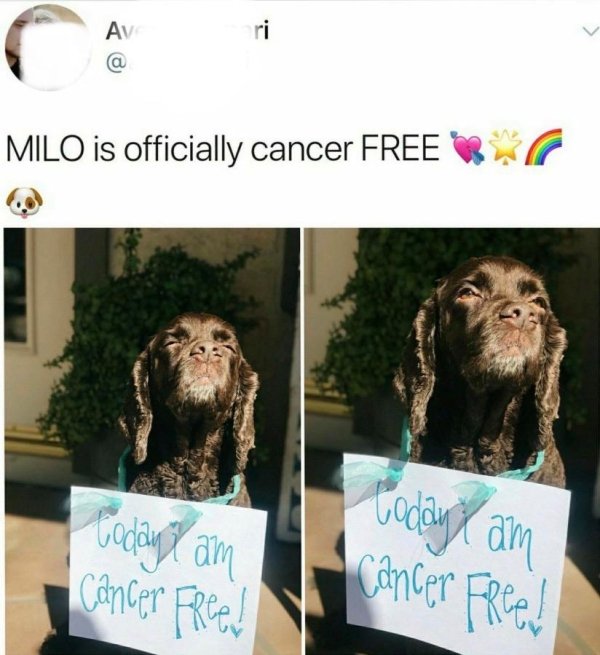 30 Pics Filled With Wholesomeness.