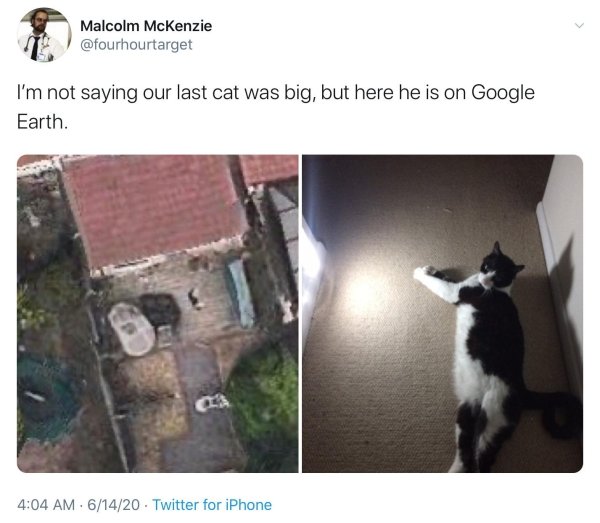 30 Pics Filled With Wholesomeness.