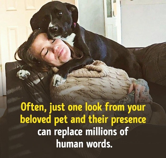 30 Pics Filled With Wholesomeness.