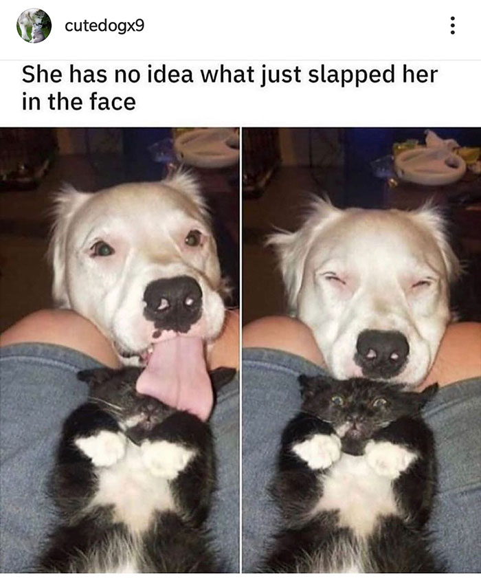 30 Pics Filled With Wholesomeness.