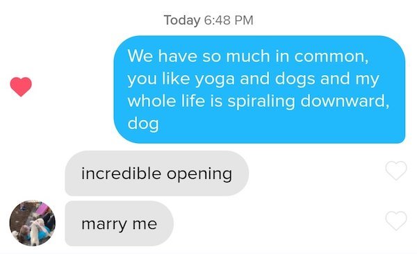 duck pick up lines - Today We have so much in common, you yoga and dogs and my whole life is spiraling downward, dog incredible opening marry me