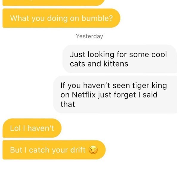 material - What you doing on bumble? Yesterday Just looking for some cool cats and kittens If you haven't seen tiger king on Netflix just forget I said that Lol I haven't But I catch your drift