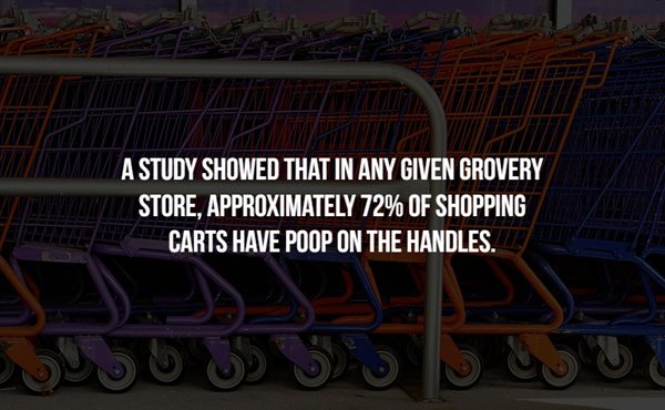 angle - A Study Showed That In Any Given Grovery Store, Approximately 72% Of Shopping Carts Have Poop On The Handles.