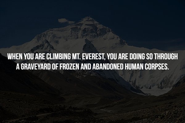 giraffe - When You Are Climbing Mt. Everest, You Are Doing So Through A Graveyard Of Frozen And Abandoned Human Corpses.