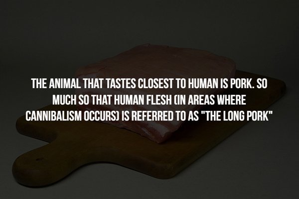 boo squad - The Animal That Tastes Closest To Human Is Pork. So Much So That Human Flesh In Areas Where Cannibalism Occurs Is Referred To As "The Long Pork"