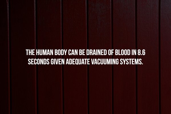 united states department of homeland security - The Human Body Can Be Drained Of Blood In 8.6 Seconds Given Adequate Vacuuming Systems.