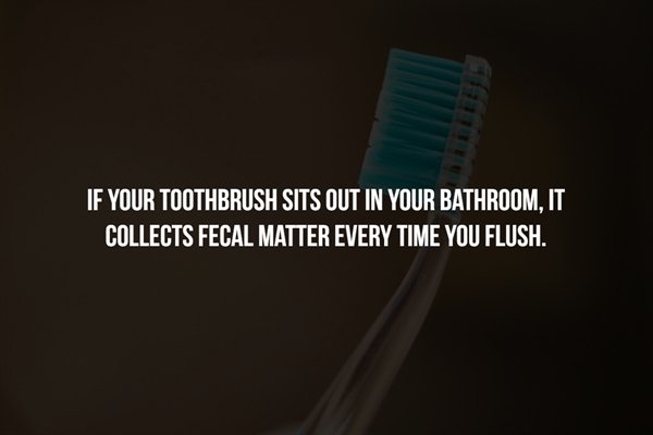 east berkshire college - If Your Toothbrush Sits Out In Your Bathroom, It Collects Fecal Matter Every Time You Flush.