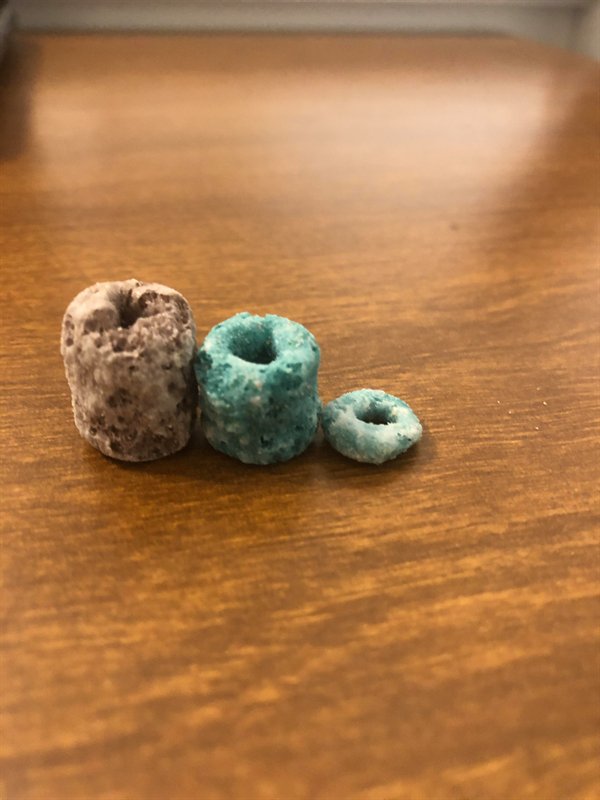 “Two long fruit loops I found with a normal one for comparison.”