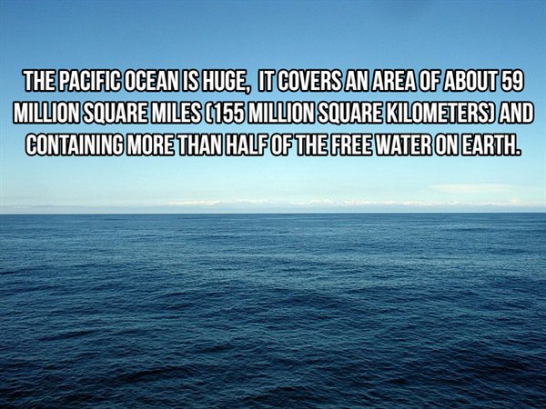 sea - The Pacific Ocean Is Huge, It Covers An Area Of About 59 Million Square Miles 155 Million Square Kilometers And Containing More Than Half Of The Free Water On Earth.