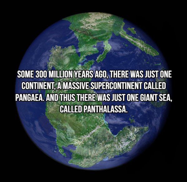 Some 300 Million Years Ago, There Was Just One Continent, A Massive Supercontinent Called Pangaea. And Thus There Was Just One Giant Sea, Called Panthalassa.