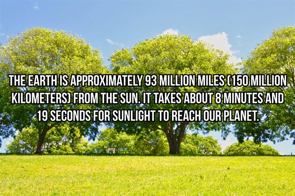 nature - The Earth Is Approximately 93 Million Miles 150 Million Kilometers From The Sun. It Takes About 8 Minutes And 19 Seconds For Sunlight To Reach Our Planet.