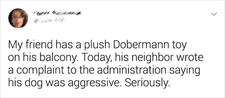 Internaut - > My friend has a plush Dobermann toy on his balcony. Today, his neighbor wrote a complaint to the administration saying his dog was aggressive. Seriously.