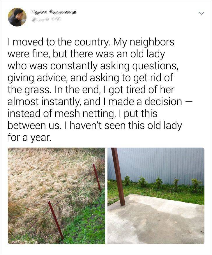 grass -
