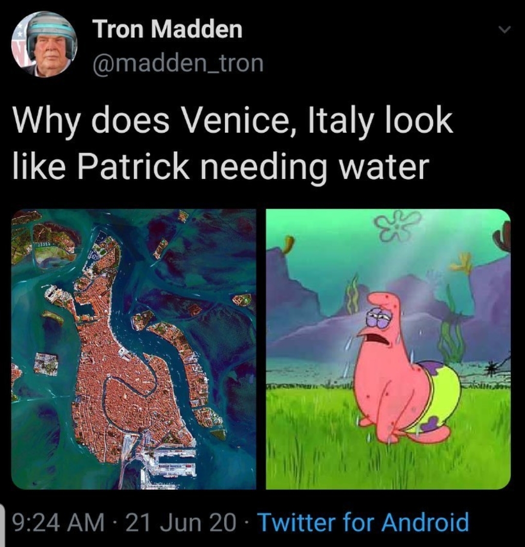 fauna - Tron Madden Why does Venice, Italy look Patrick needing water 21 Jun 20 Twitter for Android
