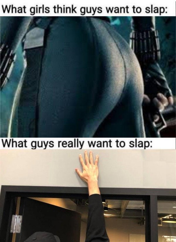 Internet meme - What girls think guys want to slap What guys really want to slap