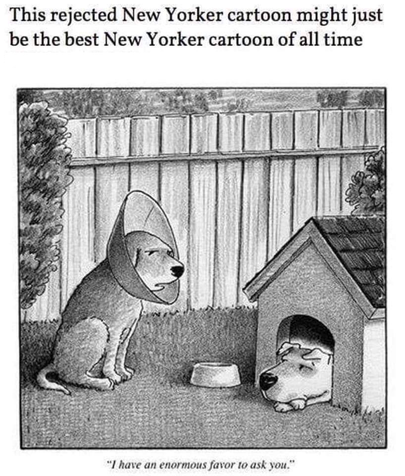 best new yorker cartoons - This rejected New Yorker cartoon might just be the best New Yorker cartoon of all time "I have an enormous favor to ask you."