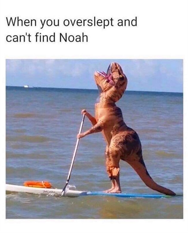 funny stupid - When you overslept and can't find Noah