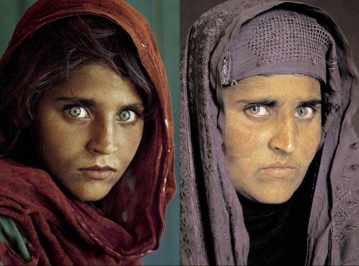 national geographic afghan girl