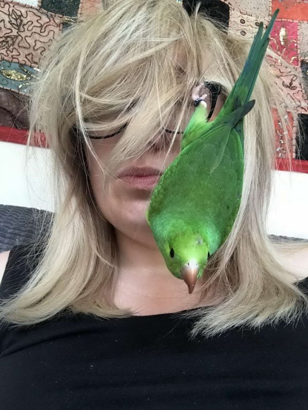 woman has green bird land on her face