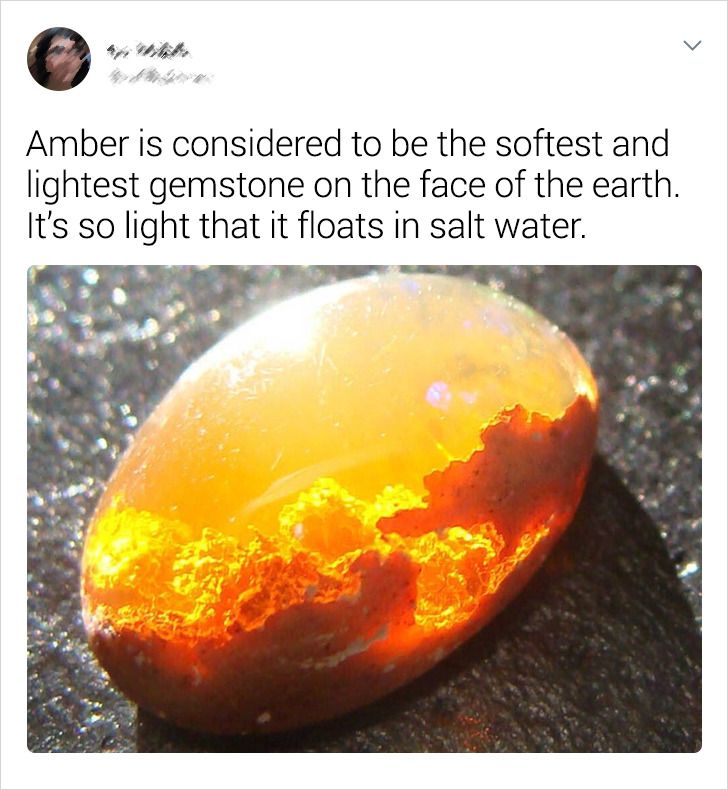 Amber is considered to be the softest and lightest gemstone on the face of the earth. It's so light that it floats in salt water.