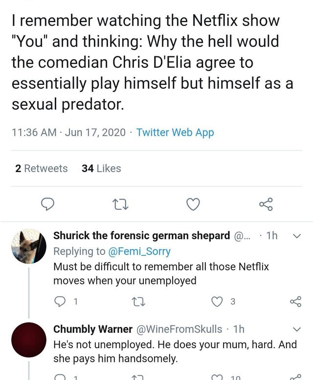 document - I remember watching the Netflix show "You" and thinking Why the hell would the comedian Chris D'Elia agree to essentially play himself but himself as a sexual predator. Twitter Web App 2 34 go Shurick the forensic german shepard @....1h Must be