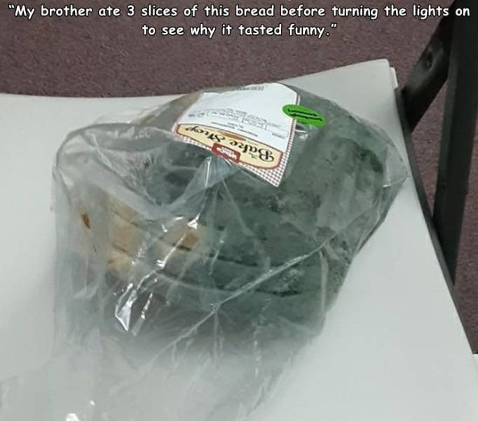 plastic - "My brother ate 3 slices of this bread before turning the lights on to see why it tasted funny." shorts Wp 8