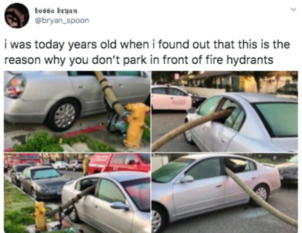 family car - bossa bryan i was today years old when i found out that this is the reason why you don't park in front of fire hydrants